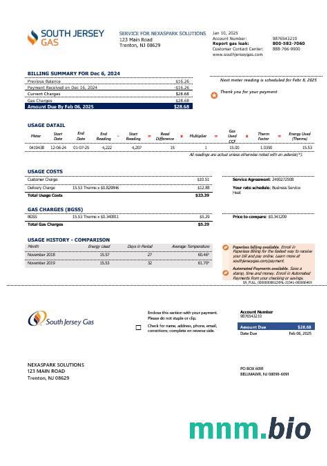 USA New Jersey Gas rachunek za usługi komunalne szablon w formacie Word i PDF